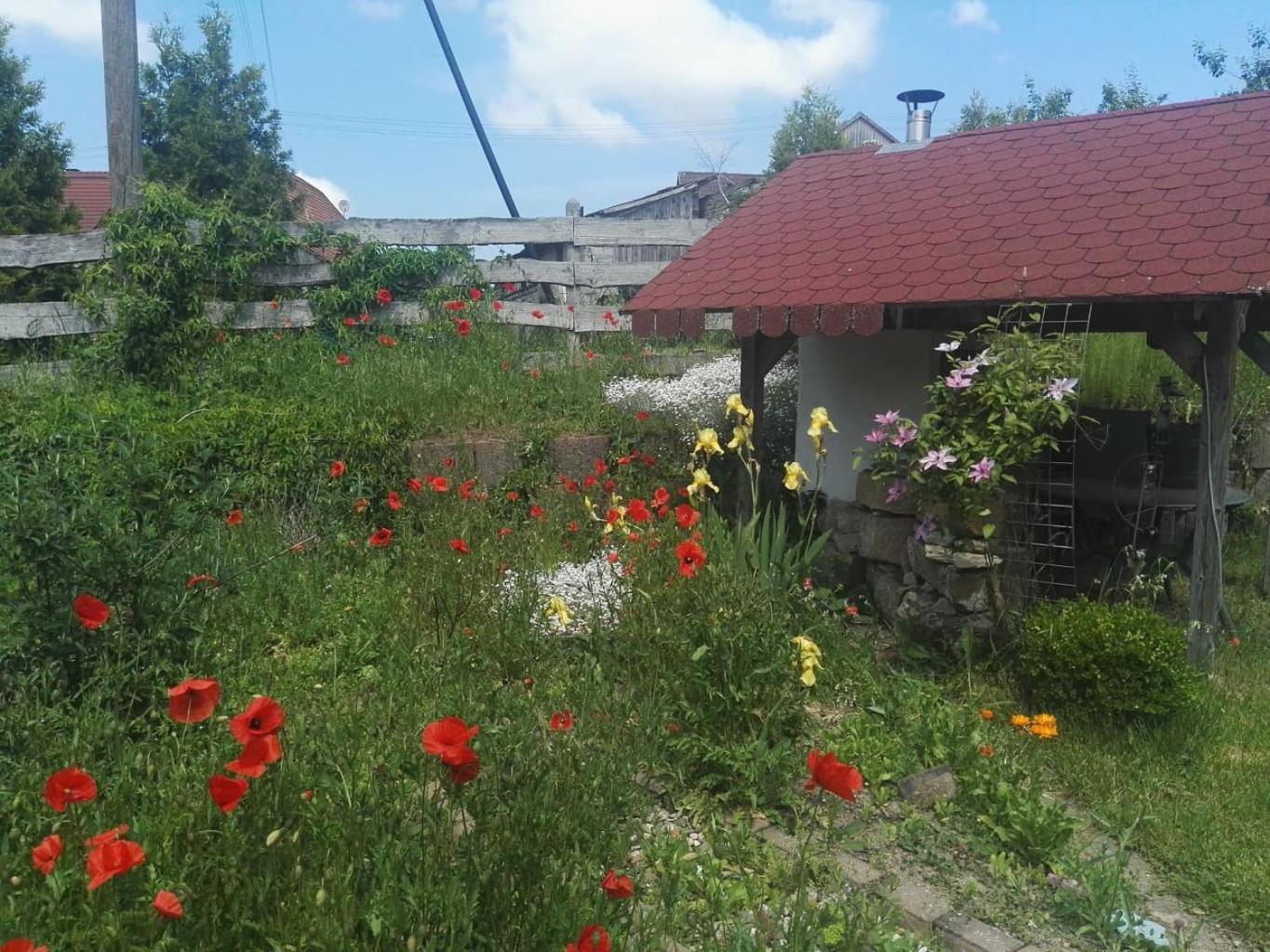 Gaestehaus Zum Gesundheitszentrum Matz Sulzdorf an der Lederhecke Exterior photo
