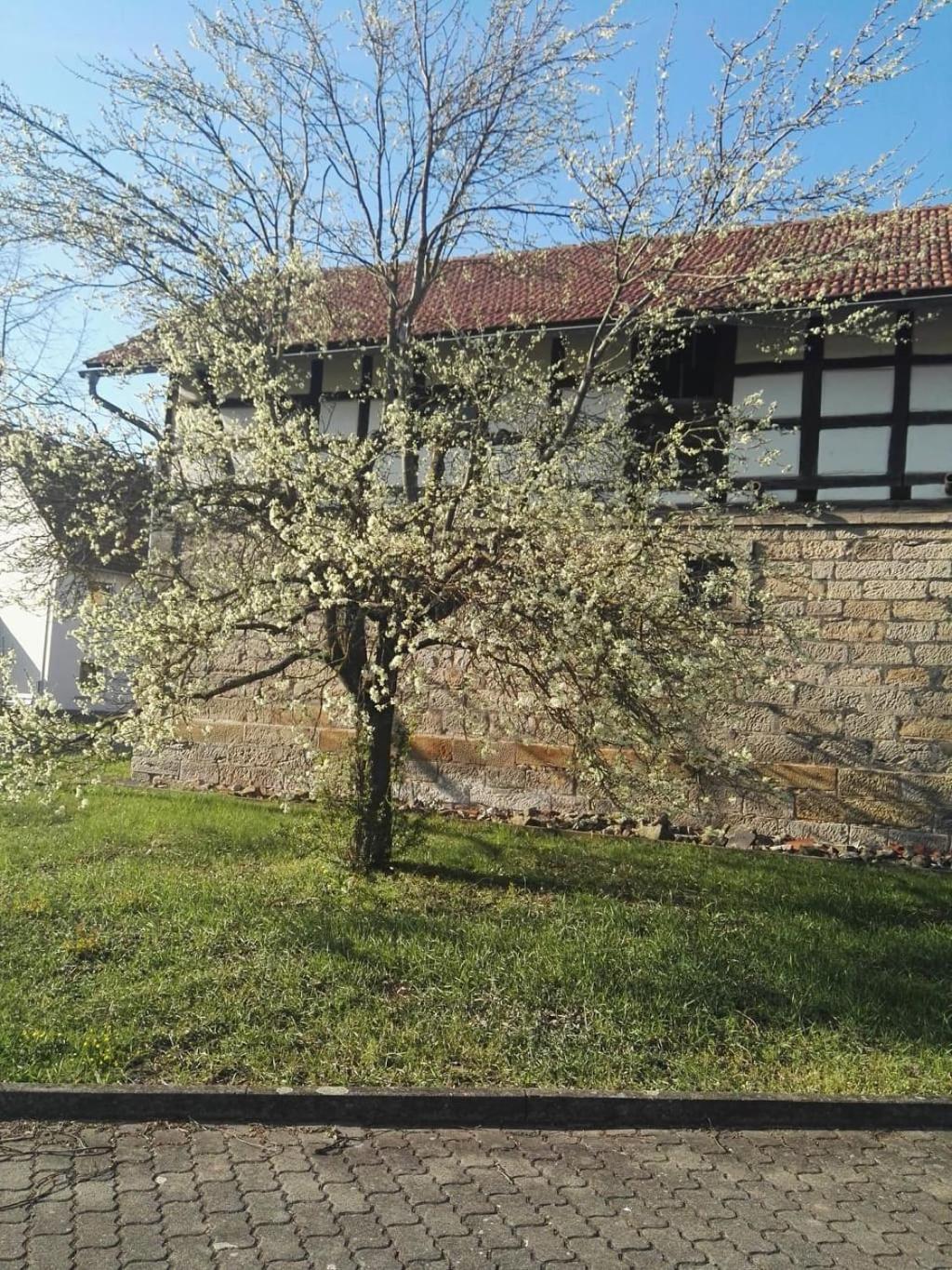 Gaestehaus Zum Gesundheitszentrum Matz Sulzdorf an der Lederhecke Exterior photo